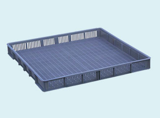 167号 草莓视频网站盘