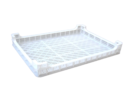 334号 草莓视频网站盘