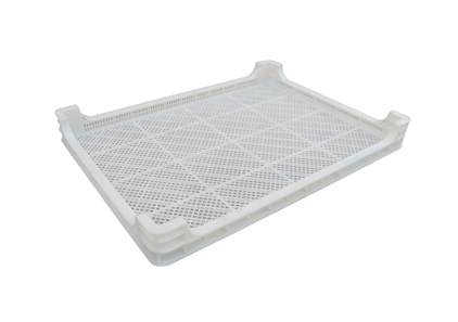 353号 草莓视频网站盘